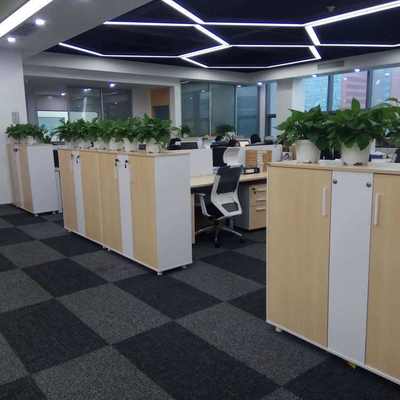 南山区绿植租摆服务 专业植物租赁厂家，为办公与商业空间注入自然活力